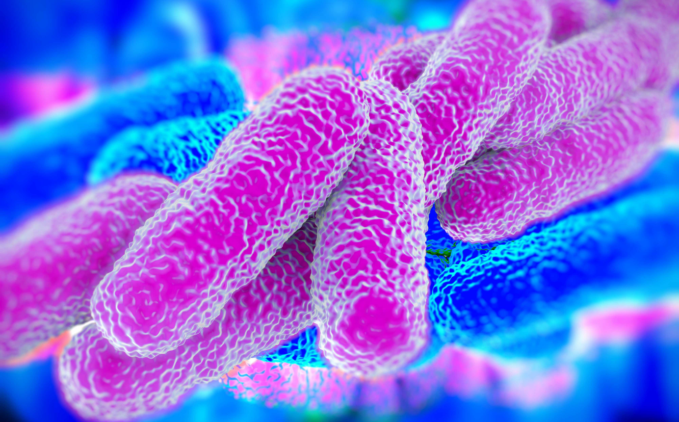 Who Can Assess For Legionella?