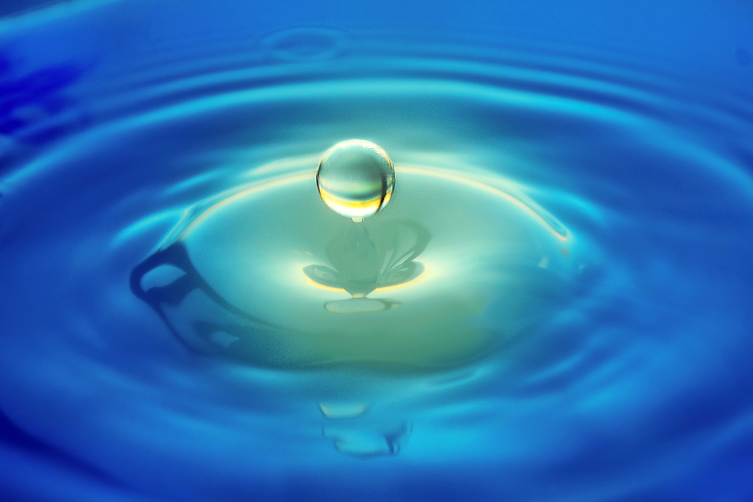 What Is Legionella?