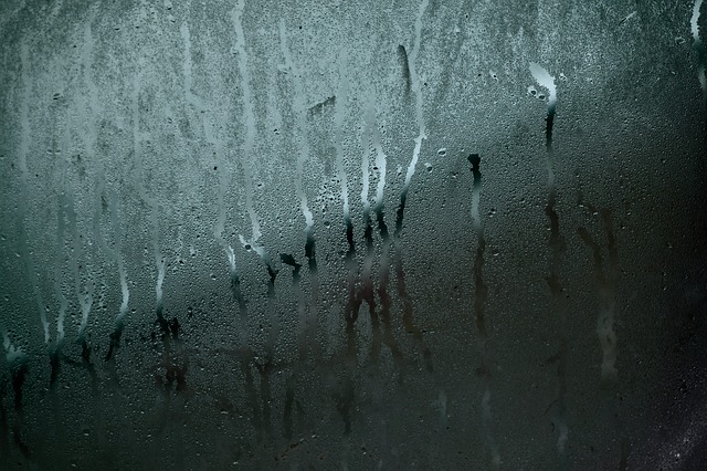 Condensation : How to Protect Your Flat